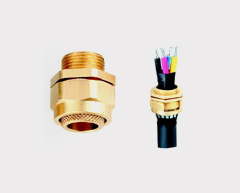 Cable Gland & Accessories