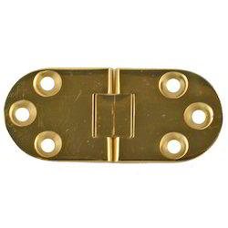 Brass Hinge