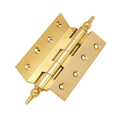 Brass Hinge