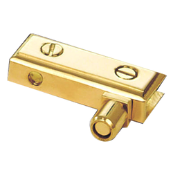 Bearing Pivot Hinges