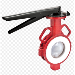 PTFE Sleeved Butterfly Valve