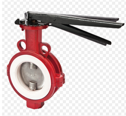 PTFE Sleeved Butterfly Valve