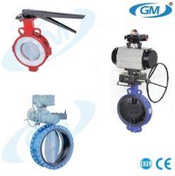 PTFE Sleeved Butterfly Valve