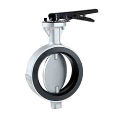 PTFE Sleeved Butterfly Valve