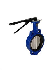 Double Flange Butterfly Valve