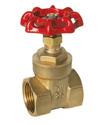 Brass Gate Valves (bgv-01)