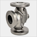 Globe & Gate Valve