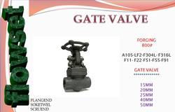 Class 300 Gate Valve