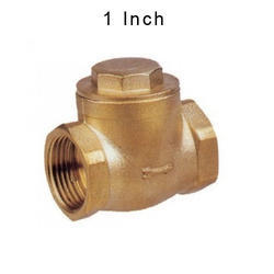 1 Inch Medium Non Return Valve