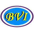 B. V. Industries