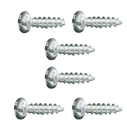 SS Screw