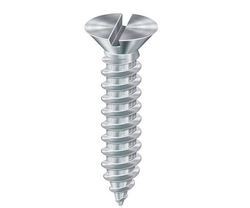 SS Screw